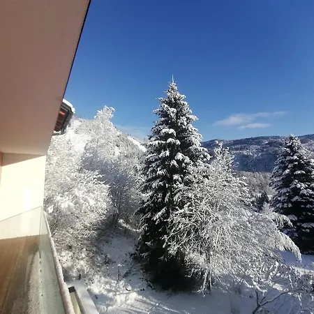 Appartement Sprungschanze Haus